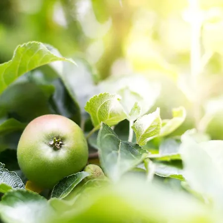 Solln - Free Parking Ξενοδοχείο