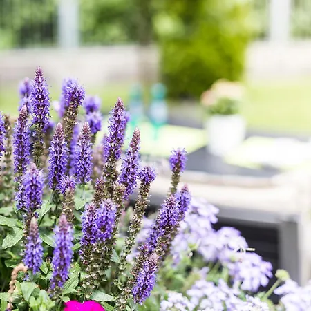 Solln - Free Parking 3*