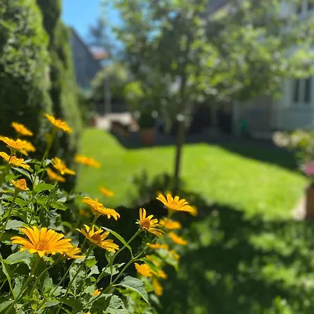 Hotel Solln - Free Parking